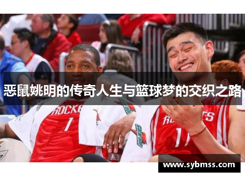 恶鼠姚明的传奇人生与篮球梦的交织之路